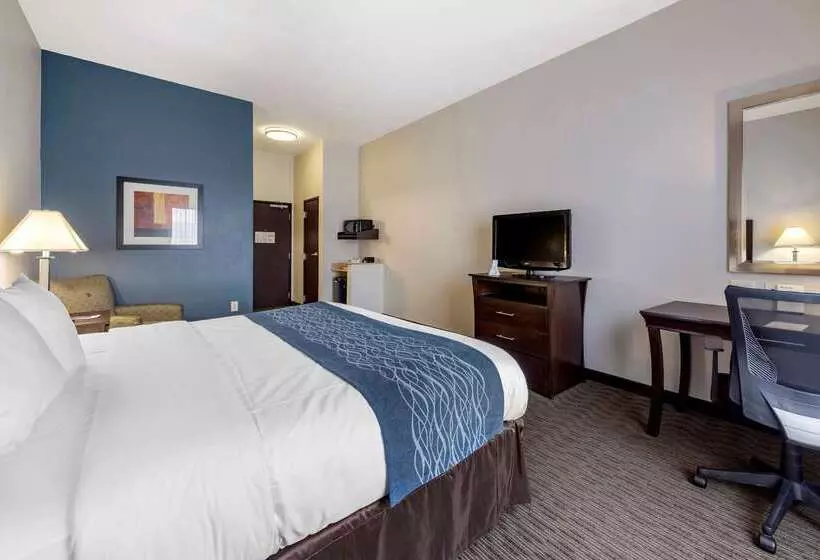 酒店 Comfort Inn & Suites Oklahoma City West  I40