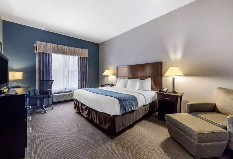 酒店 Comfort Inn & Suites Oklahoma City West  I40