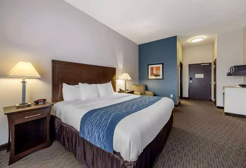 酒店 Comfort Inn & Suites Oklahoma City West  I40
