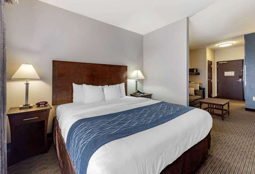 בית מלון כפרי Comfort Inn & Suites Oklahoma City West  I40