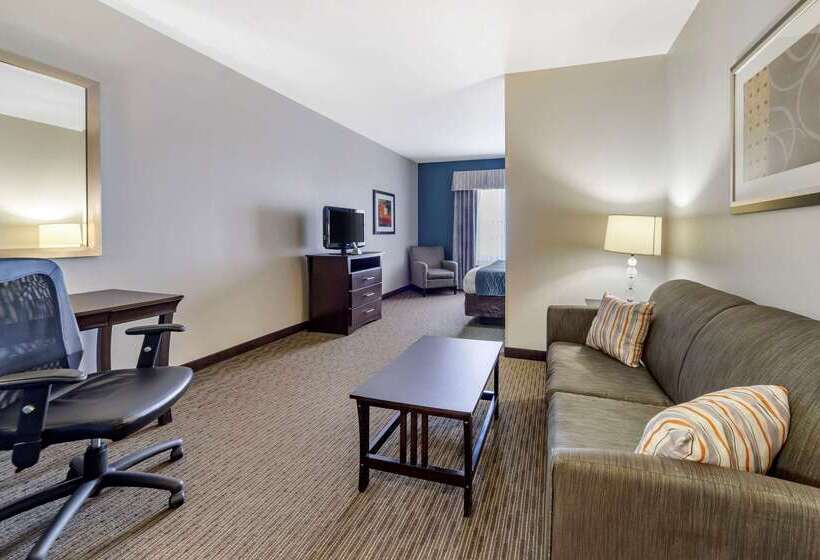 בית מלון כפרי Comfort Inn & Suites Oklahoma City West  I40