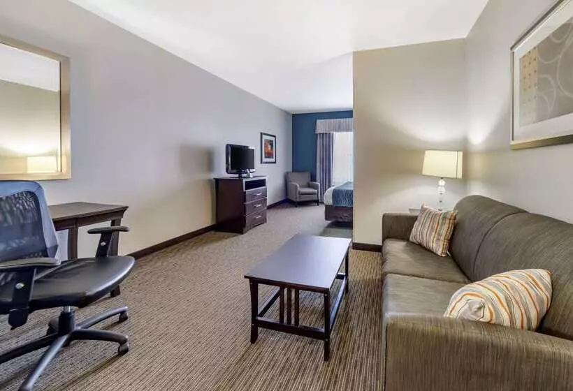 酒店 Comfort Inn & Suites Oklahoma City West  I40