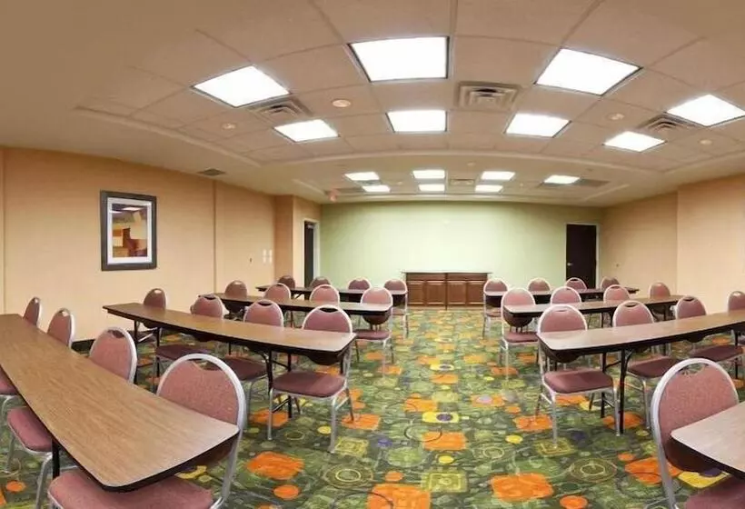 Holiday Inn Express Hotel & Suites Clemson University Area, An Ihg