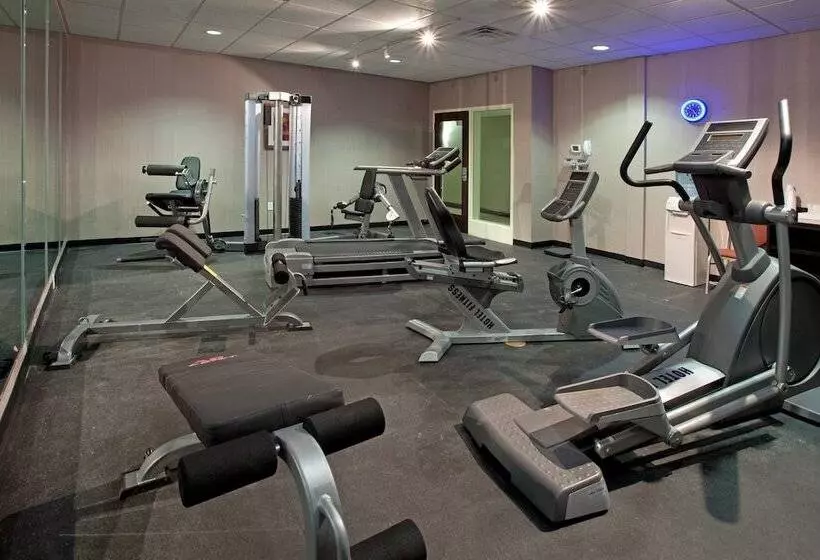 Holiday Inn Express Hotel & Suites Clemson University Area, An Ihg