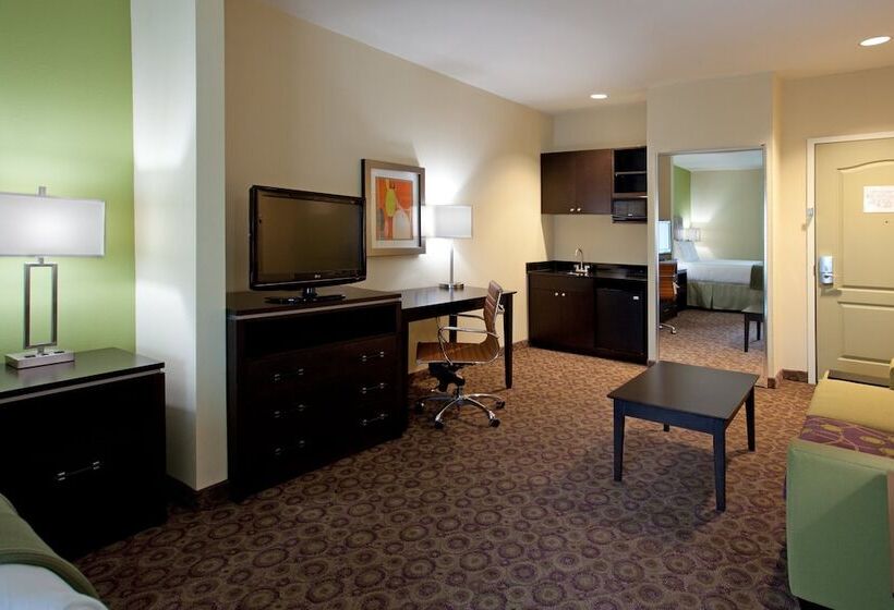 Holiday Inn Express Hotel & Suites Clemson University Area, An Ihg
