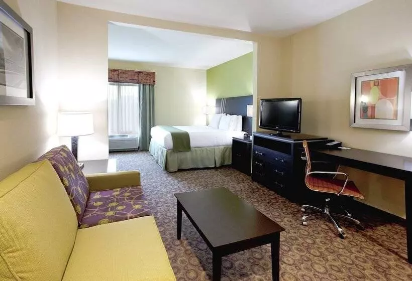 Holiday Inn Express Hotel & Suites Clemson University Area, An Ihg