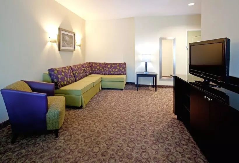 Holiday Inn Express Hotel & Suites Clemson University Area, An Ihg