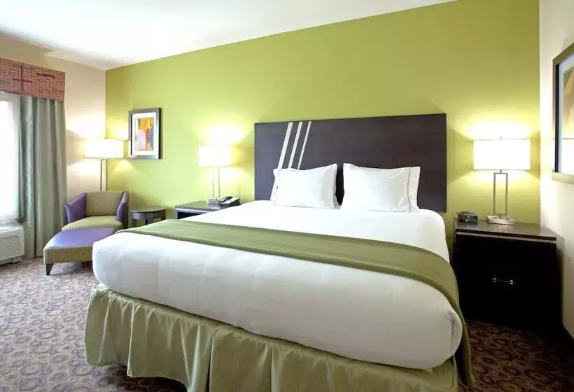 Holiday Inn Express Hotel & Suites Clemson University Area, An Ihg
