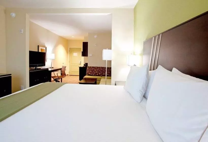 Holiday Inn Express Hotel & Suites Clemson University Area, An Ihg