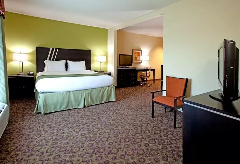 Holiday Inn Express Hotel & Suites Clemson University Area, An Ihg