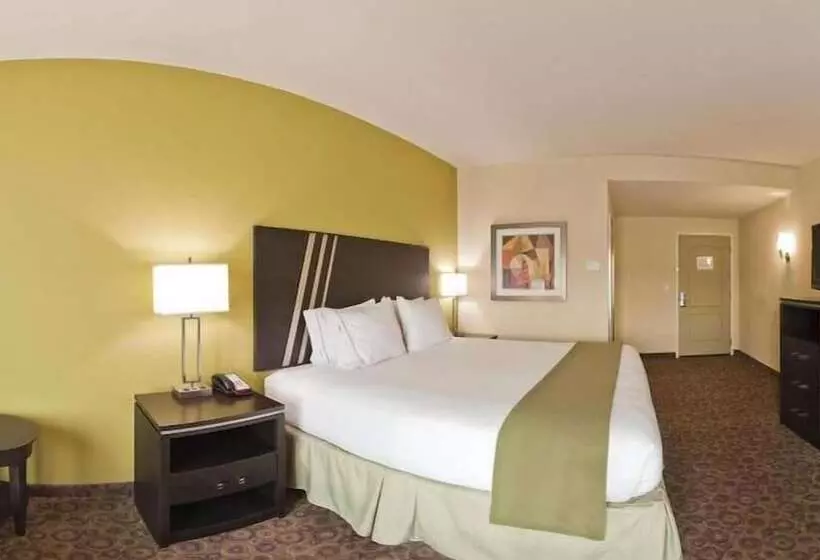 Holiday Inn Express Hotel & Suites Clemson University Area, An Ihg