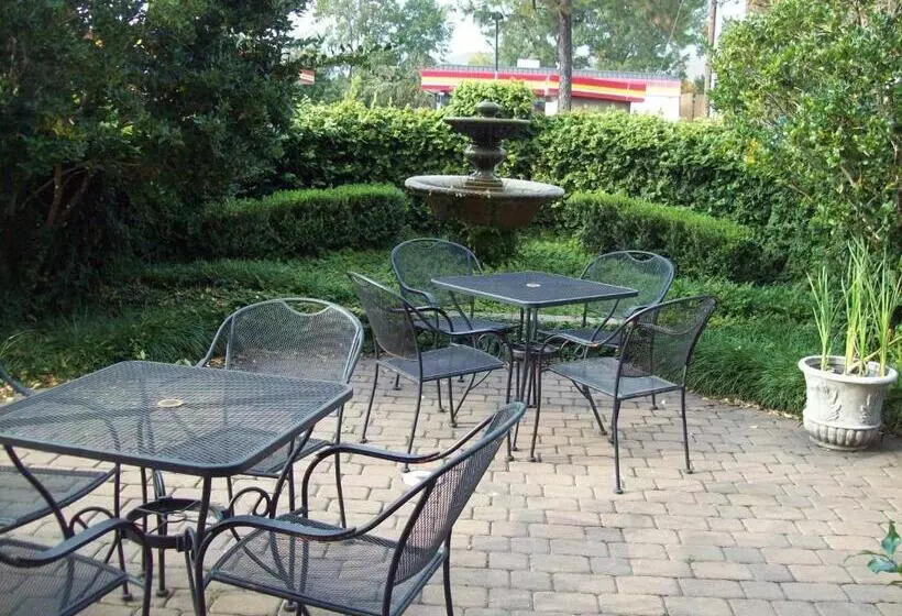 Hotel Inn At Mulberry Grove