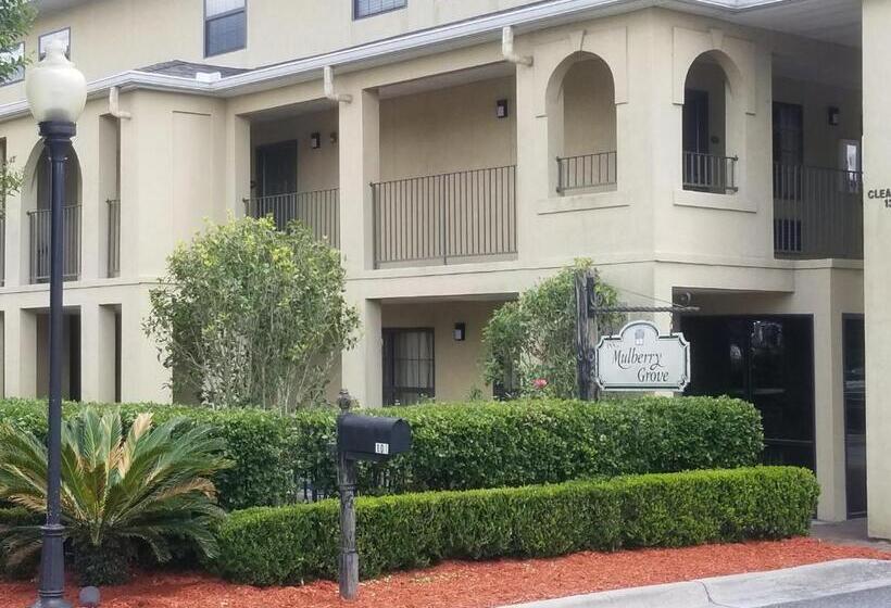 فندق Inn At Mulberry Grove