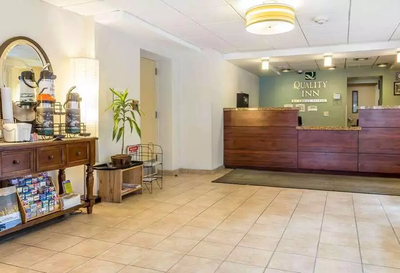 فندق Quality Inn Flamingo