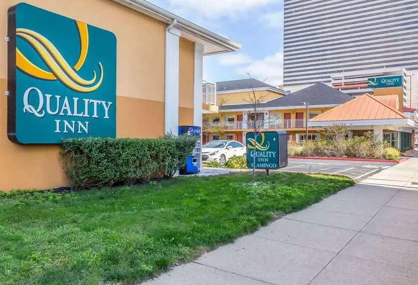 فندق Quality Inn Flamingo