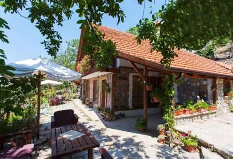 هتل Robinson Sunset Guest House