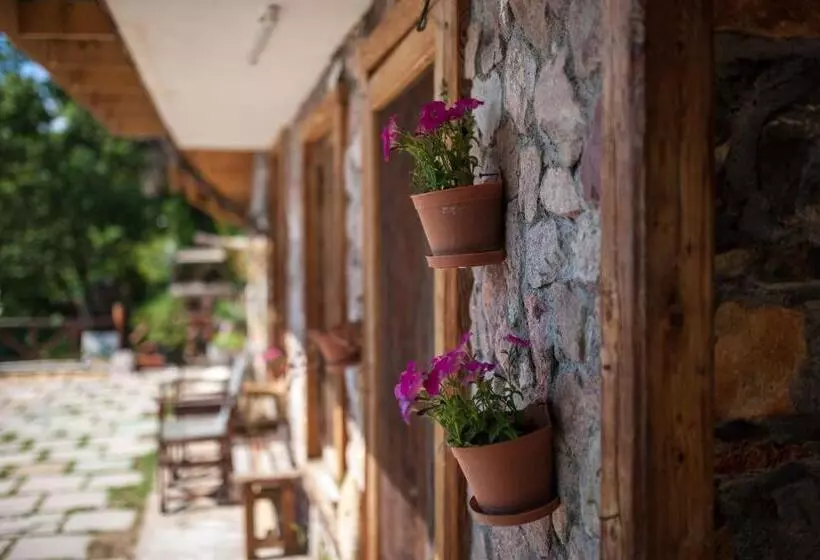 هتل Robinson Sunset Guest House