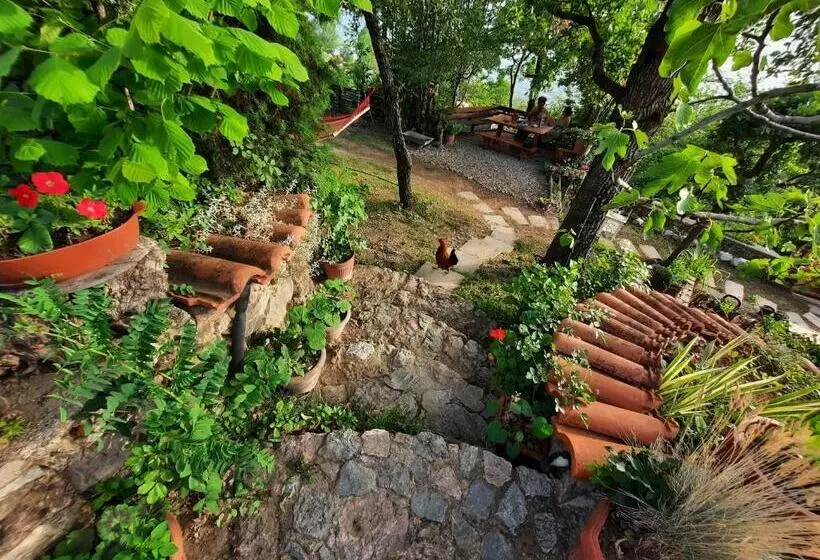 هتل Robinson Sunset Guest House