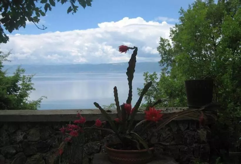 هتل Robinson Sunset Guest House