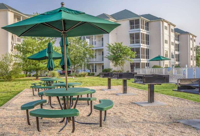 בית מלון כפרי The Suites At Fall Creek