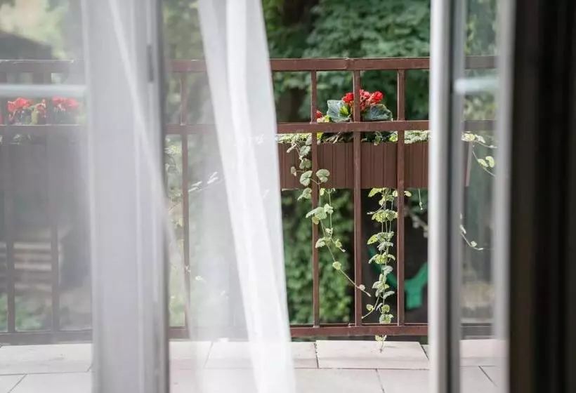 Downtown Forest Hostel & Camping