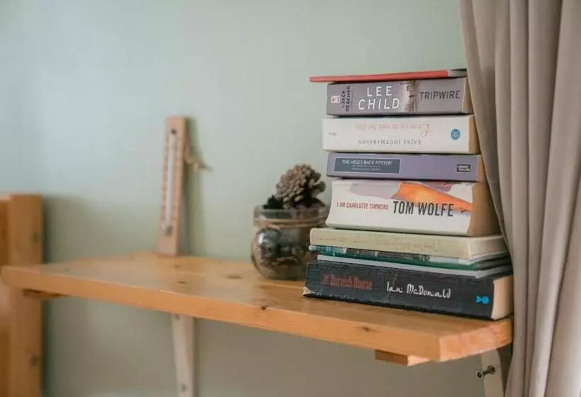 Downtown Forest Hostel & Camping