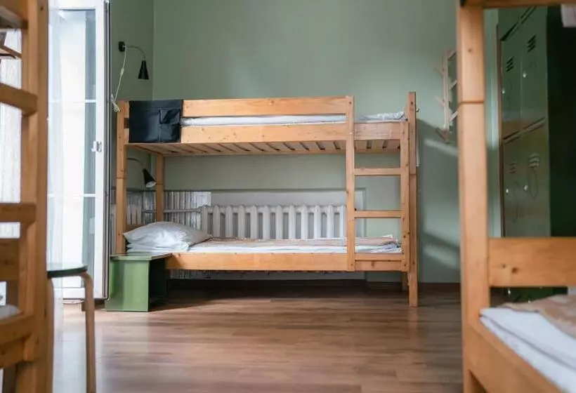 Downtown Forest Hostel & Camping