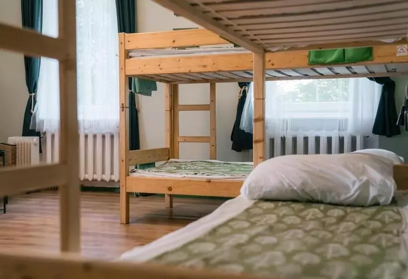 Downtown Forest Hostel & Camping