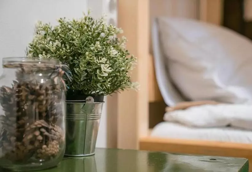 Downtown Forest Hostel & Camping