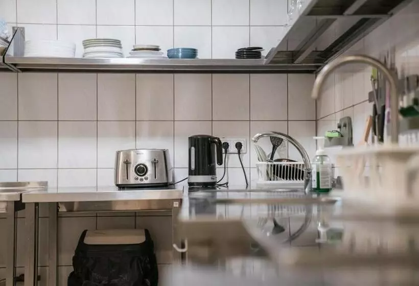 Downtown Forest Hostel & Camping