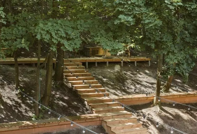 Downtown Forest Hostel & Camping