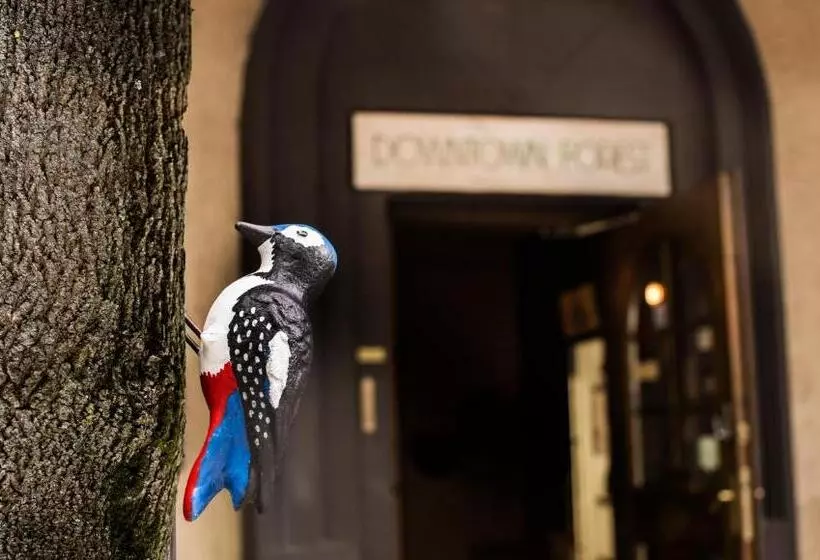 Downtown Forest Hostel & Camping