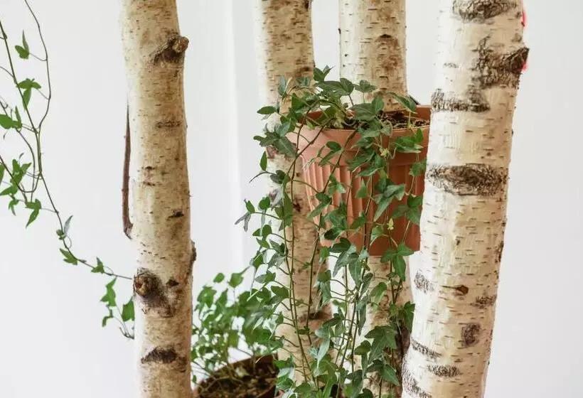 Downtown Forest Hostel & Camping