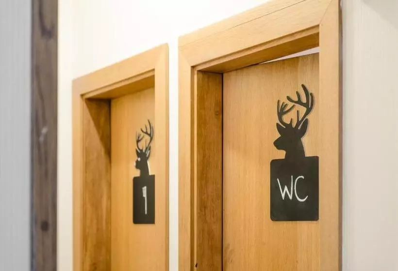 Downtown Forest Hostel & Camping