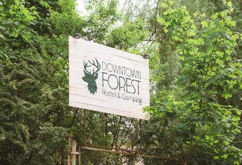 Downtown Forest Hostel & Camping