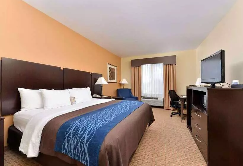 ホテル Comfort Inn & Suites Mexia