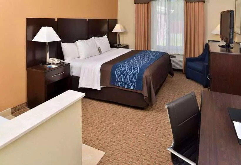 ホテル Comfort Inn & Suites Mexia
