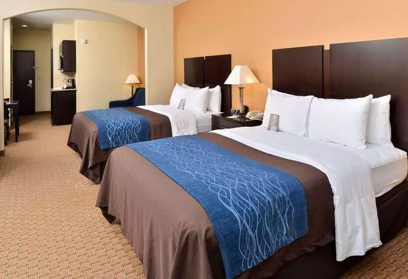ホテル Comfort Inn & Suites Mexia