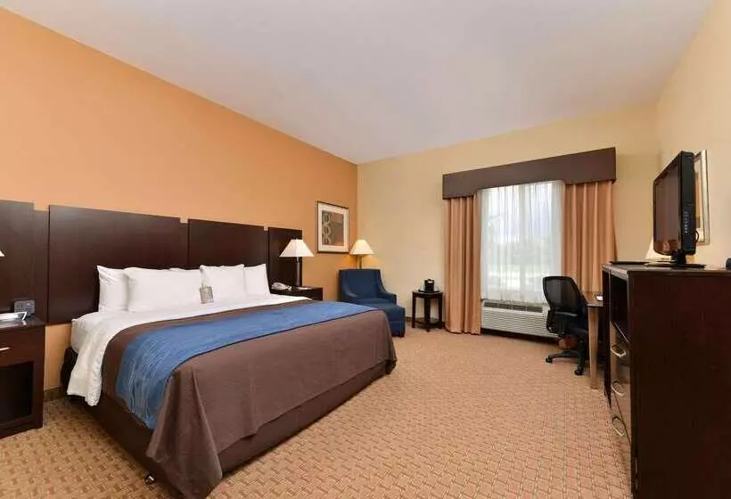 ホテル Comfort Inn & Suites Mexia