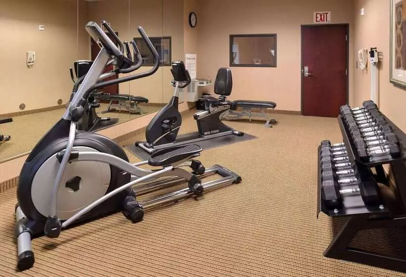 ホテル Comfort Inn & Suites Mexia