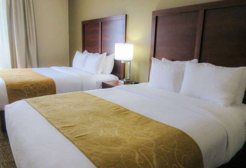 فندق Comfort Suites