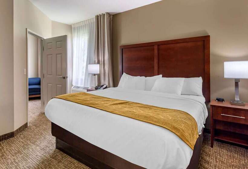 فندق Comfort Suites