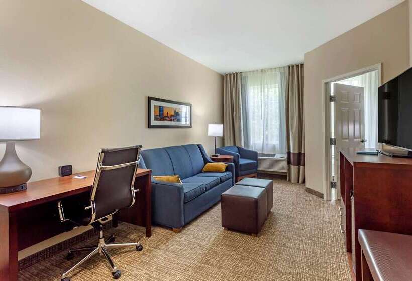 فندق Comfort Suites