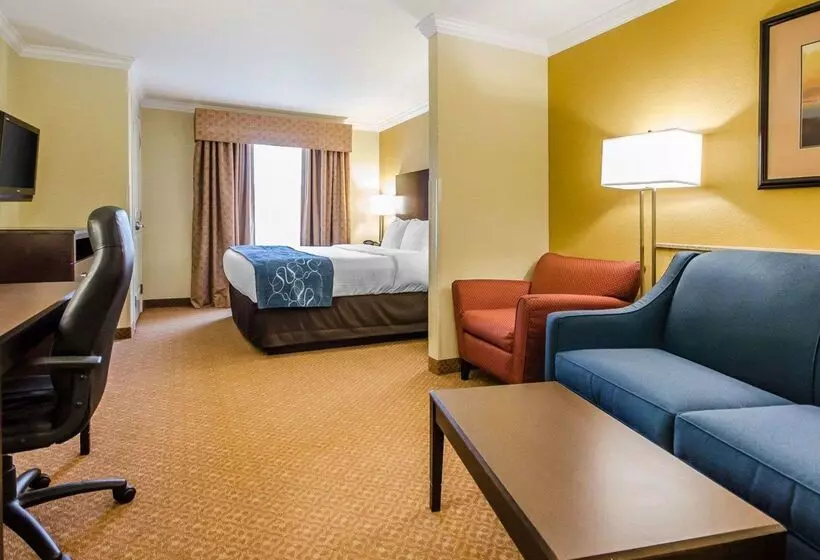 فندق Comfort Suites