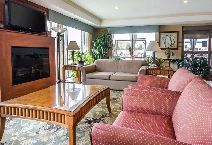 فندق Comfort Suites