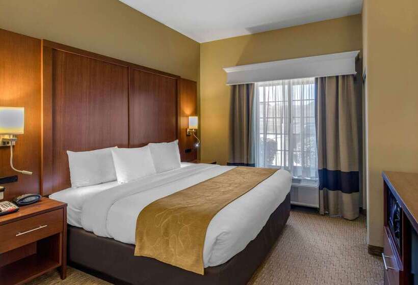 فندق Comfort Suites Marshall