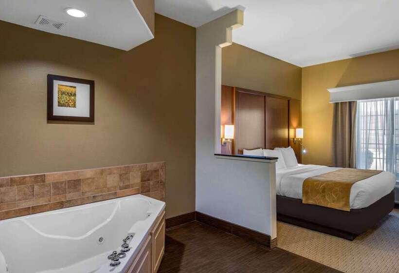 فندق Comfort Suites Marshall