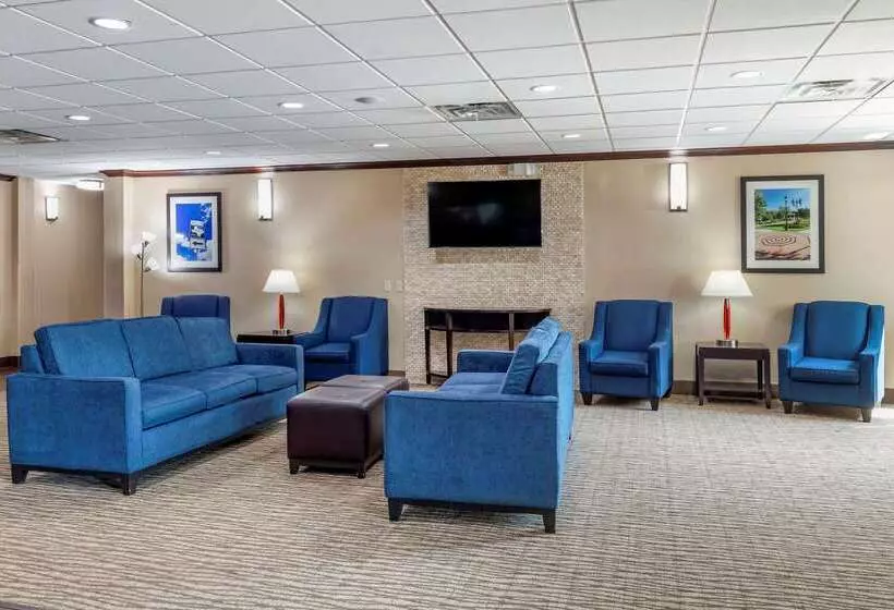 ホテル Comfort Suites Plano   Dallas North
