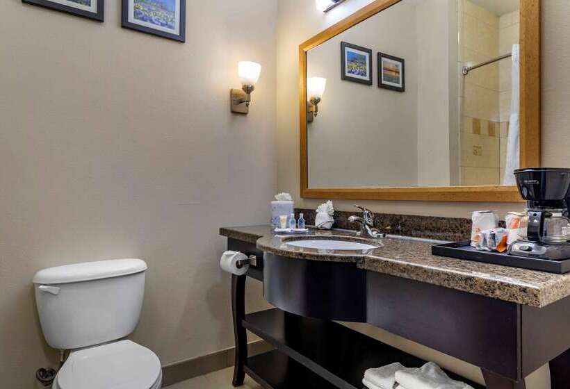 호텔 Comfort Suites Plano   Dallas North