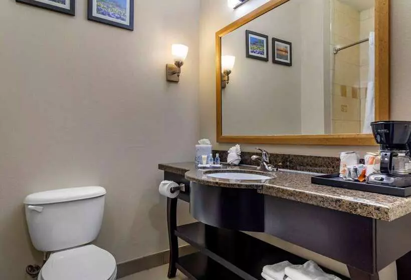 ホテル Comfort Suites Plano   Dallas North